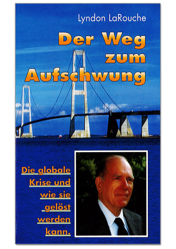 Buch: Der Weg zum Aufschwung