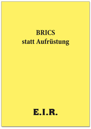 BRICSSTATT_PRINT_cover.jpg
