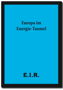 EUROPAIM_E_form_COVER.jpg
